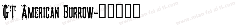 GT American Burrow字体转换